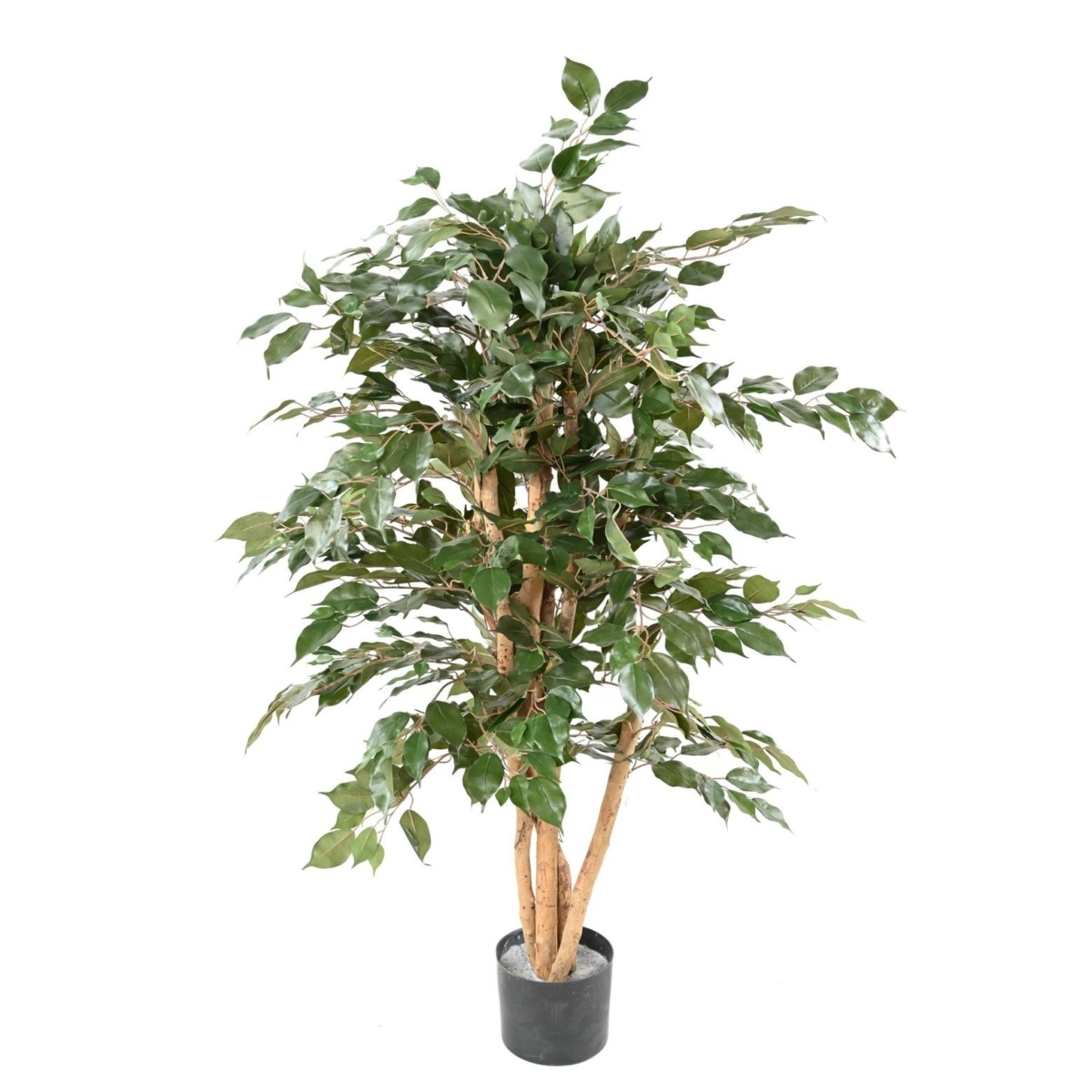 Ficus benjamina artificiel 150 cm