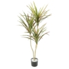 Dracaena artificiel