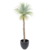 Agave géant artificiel 240 cm – Image 2