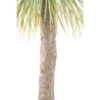 Agave géant artificiel 240 cm – Image 4