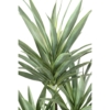 Yucca rapier artificiel 150 cm – Image 4