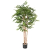 Acacia artificiel