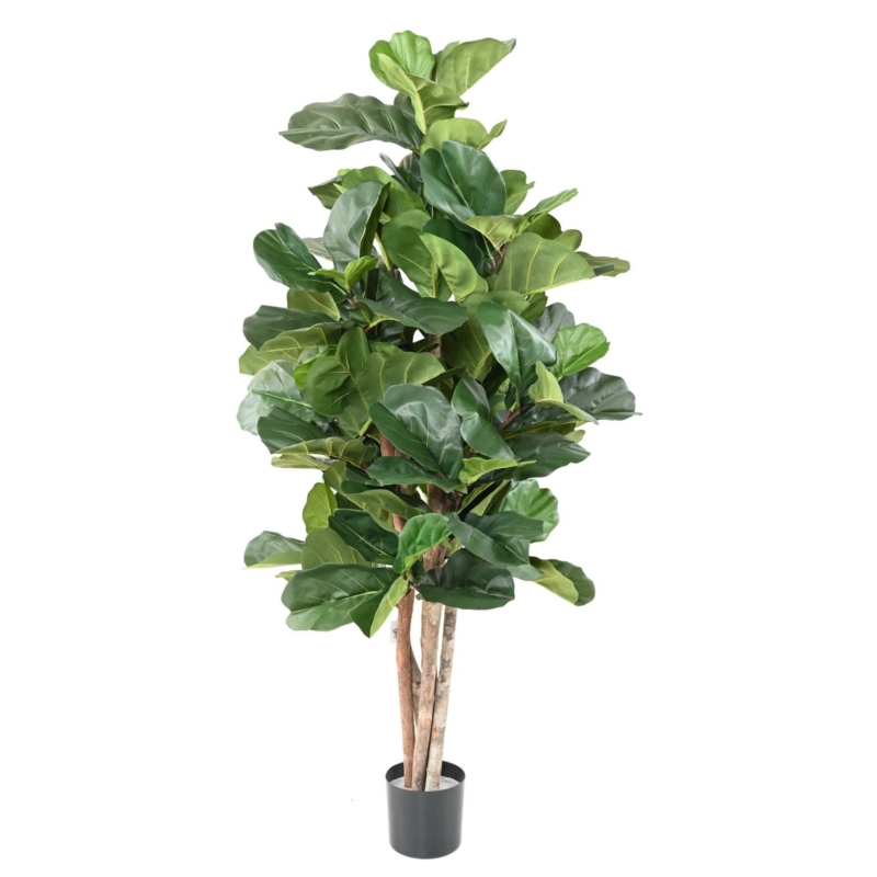 Lyrata artificiel 180 cm
