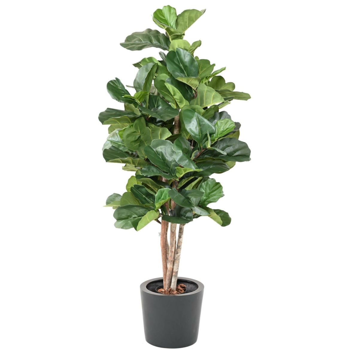 Lyrata artificiel 180 cm – Image 2
