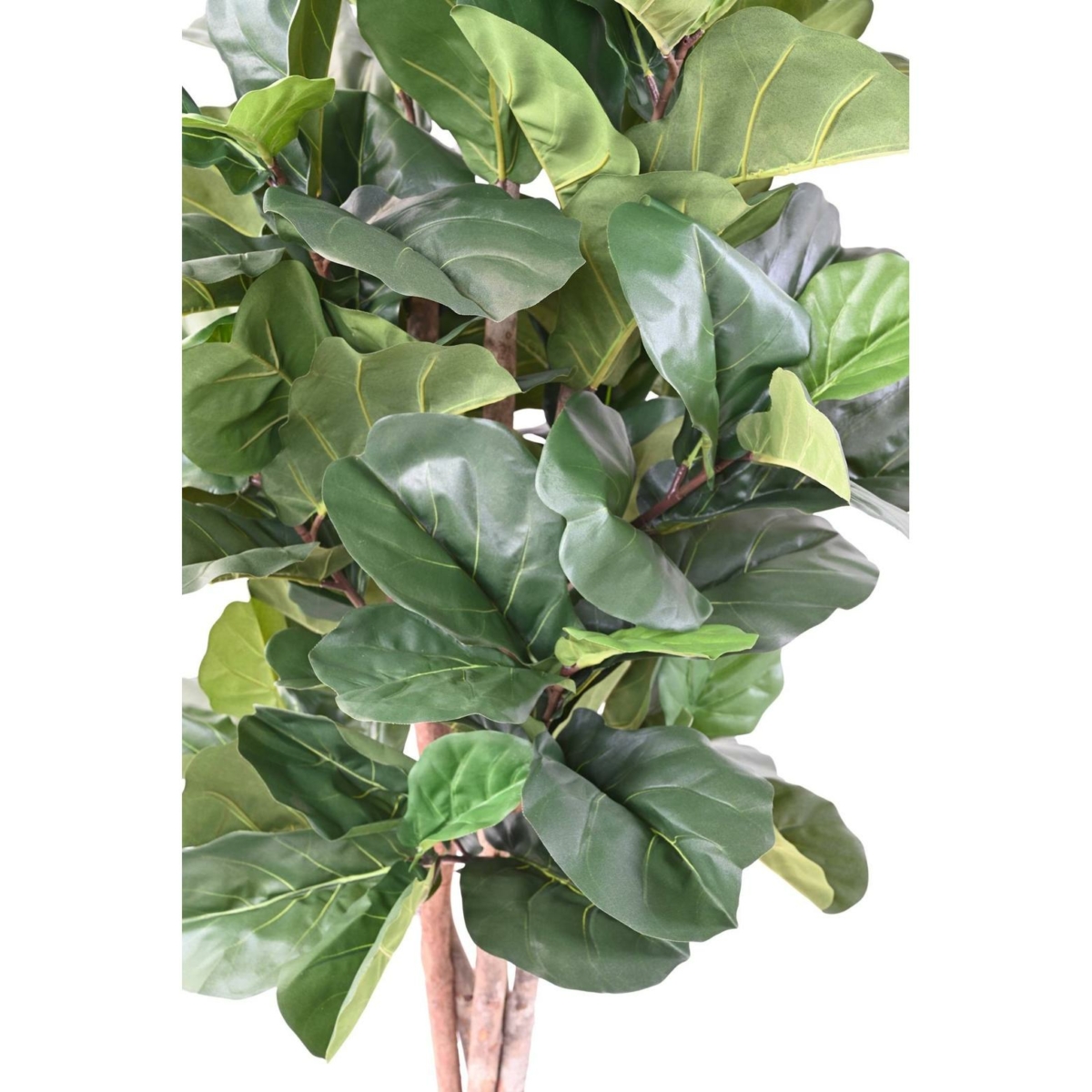 Lyrata artificiel 180 cm – Image 3