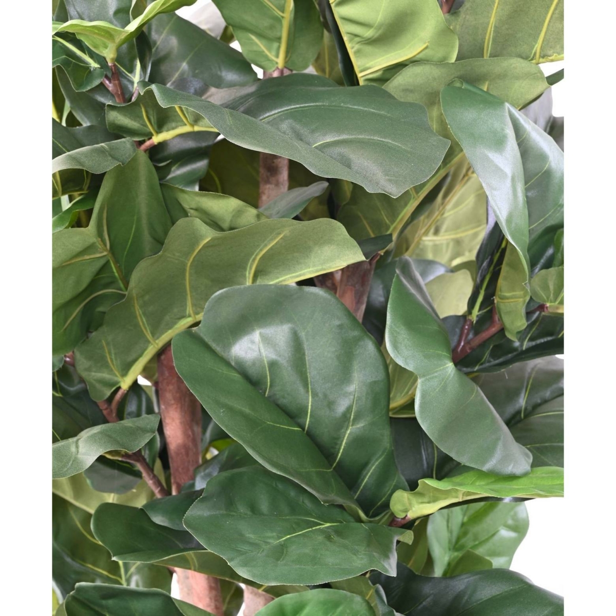 Lyrata artificiel 180 cm – Image 4