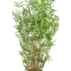 Bambou multi oriental artificiel – Image 3