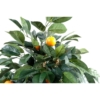 Oranger artificiel 80 cm – Image 2