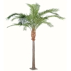 Phoenix canariensis artificiel – Image 2