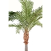 Phoenix canariensis artificiel – Image 4
