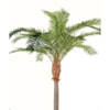Phoenix canariensis artificiel – Image 5