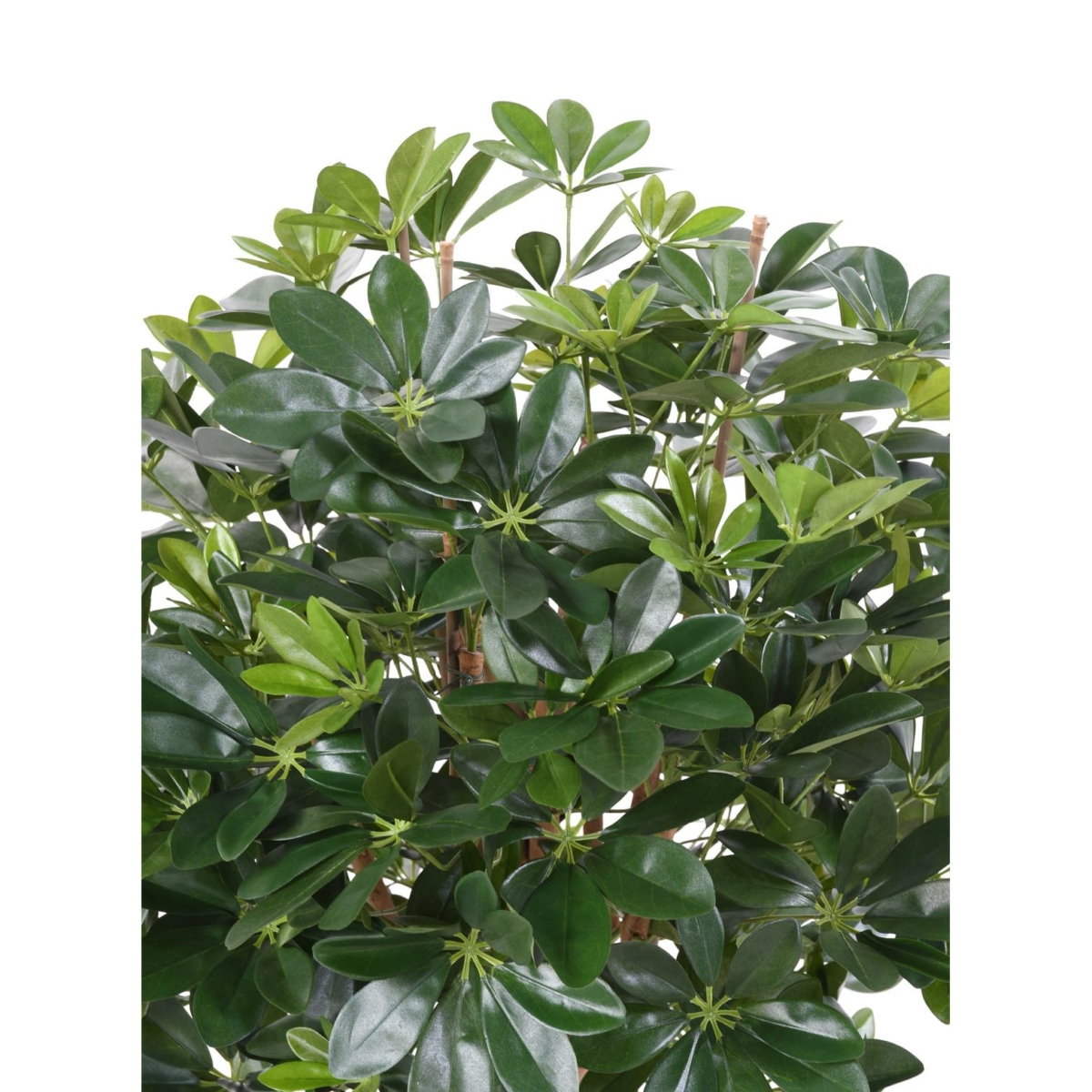 Schefflera artificiel vert 110 cm – Image 2