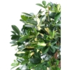 Schefflera artificiel vert et jaune110 cm – Image 3