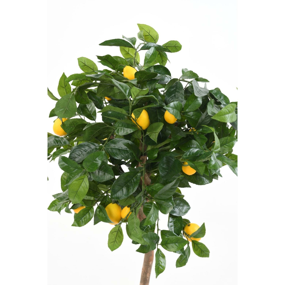 Citronnier tête artificiel 110 cm – Image 3