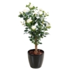 Rosier royal artificiel crème 100 cm