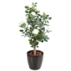 Rosier royal artificiel blanc 100 cm
