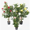 Rosier royal artificiel blanc 100 cm – Image 4