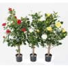 Rosier royal artificiel blanc 100 cm – Image 5