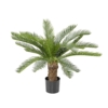 Cycas artificiel sur tronc