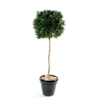 Laurier boule tige artificiel – Image 2