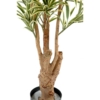 Dracaena reflexa artificiel vert et jaune – Image 3