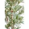Dracaena reflexa artificiel vert et jaune – Image 4