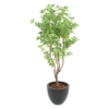 Pittosporum artificiel 150 cm – Image 3