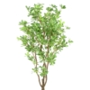 Pittosporum artificiel 150 cm – Image 4