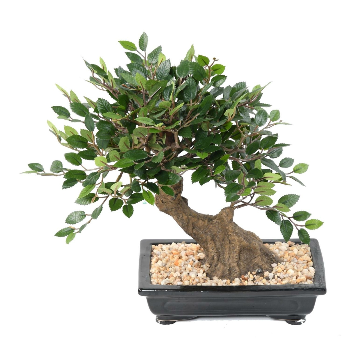 Bonsaï orme en coupe gravier artificiel – Image 2
