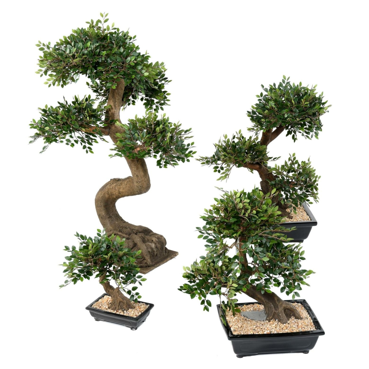 Bonsaï orme en coupe gravier artificiel – Image 3