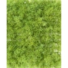 Mousse plaque artificiel 5 cm