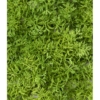Mousse plaque artificiel 5 cm – Image 2