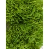 Mousse galet artificiel vert 3 cm – Image 4