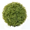 Buis boule artificiel 26 cm – Image 4