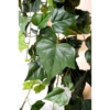 Lierre artificiel 175 cm – Image 2
