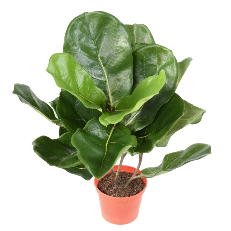 Lyrata pot artificiel 44 cm