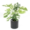 Philodendron géant artificiel vert et blanc 75 cm – Image 2