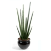 Sansevieria cylindrica artificiel 90 cm