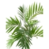 Chamaedorea artificiel – Image 2