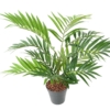 Chamaedorea artificiel – Image 3