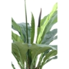 Anthurium artificiel – Image 2