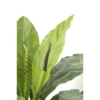 Anthurium artificiel – Image 3