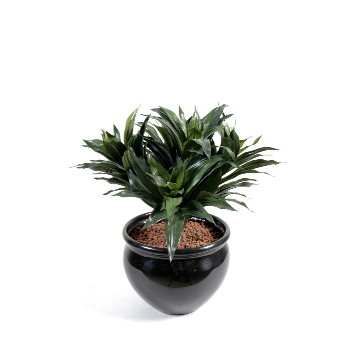 Dracaena fragans artificiel 53 cm