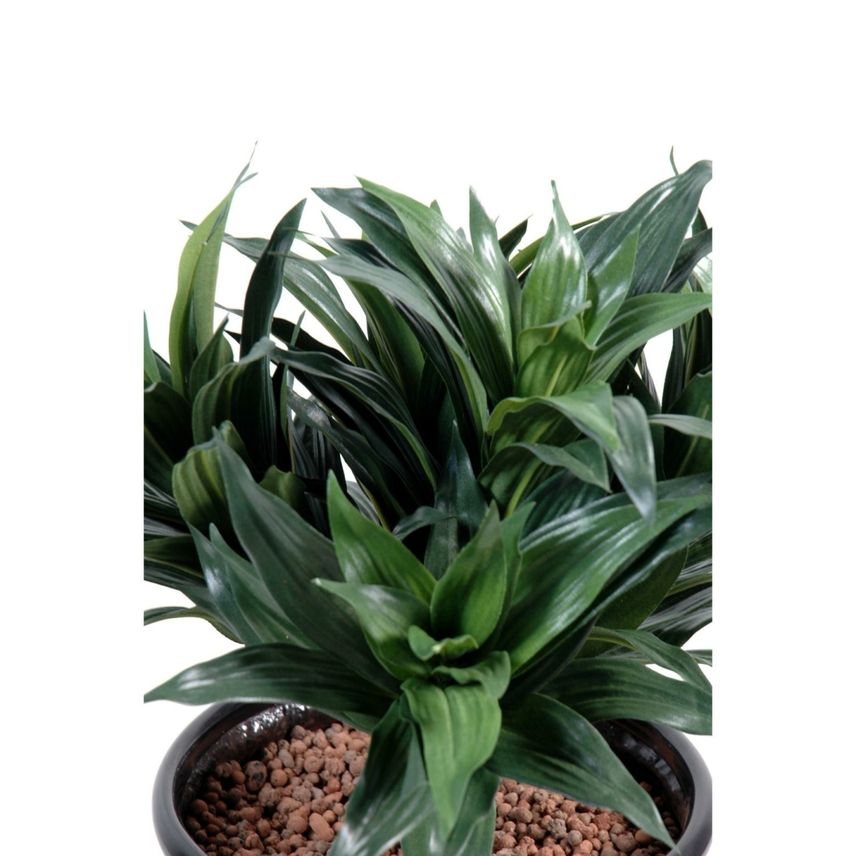 Dracaena fragans artificiel 53 cm – Image 2
