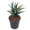 Furcraea artificiel