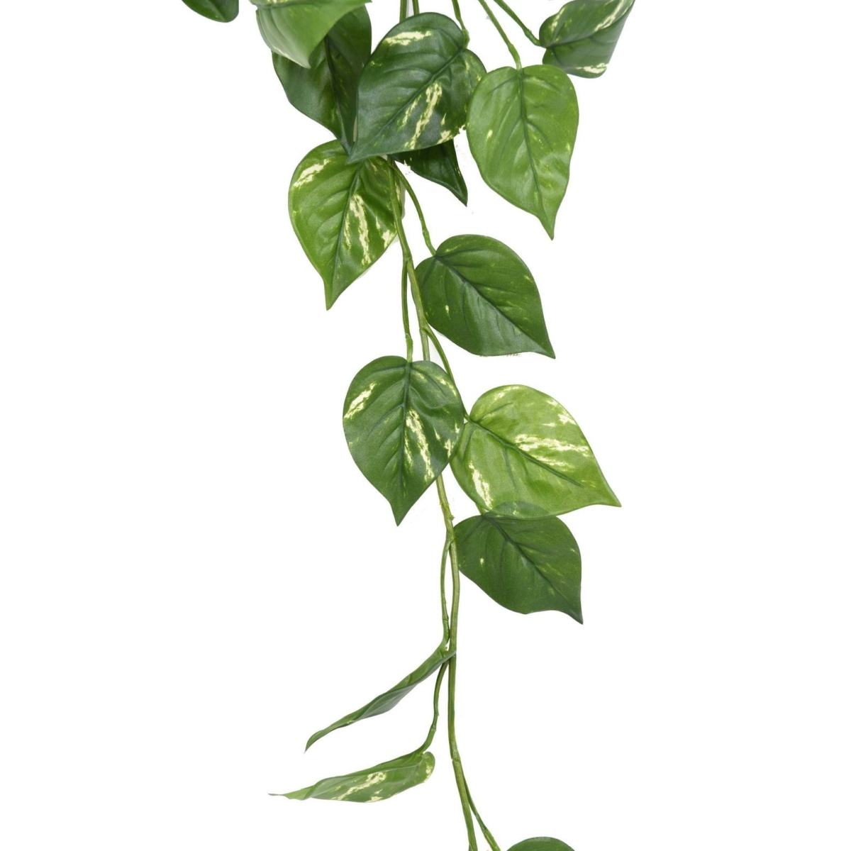 Pothos guirlande artificiel- résistant aux UV – Image 2