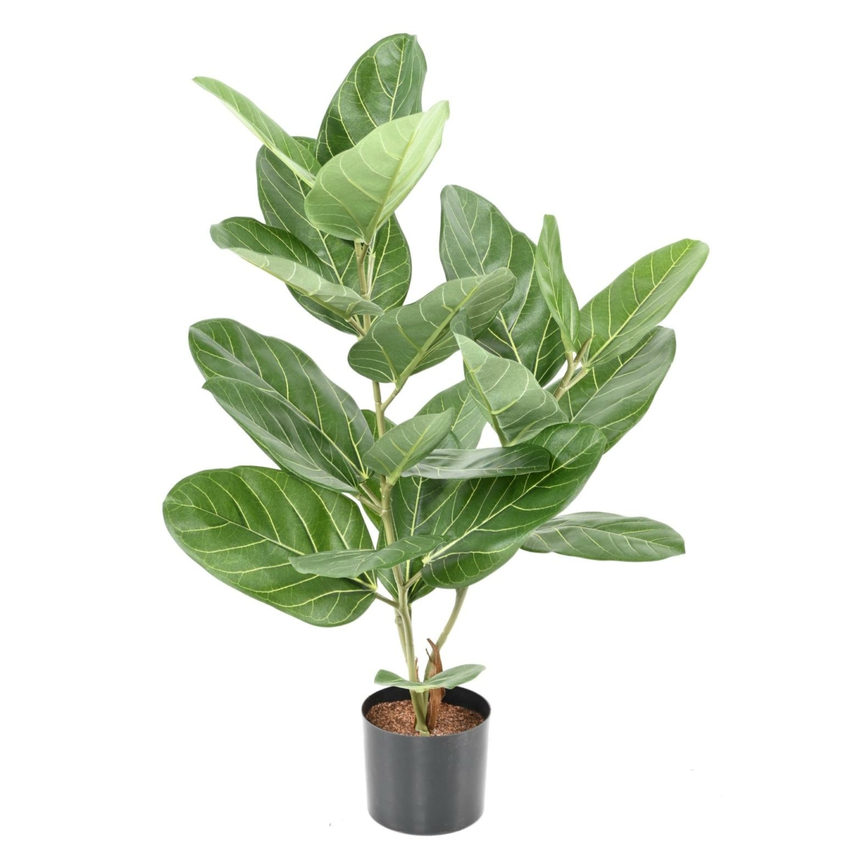 Ficus audrey artificiel 62 cm – Image 3