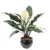 Spathiphyllum pot artificiel