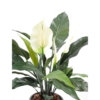 Spathiphyllum pot artificiel – Image 2