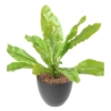 Asplenium artificiel 70 cm – Image 2